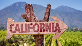 California Air Resources Board Addresses the Who, What, How and When of California’s Corporate Climate Disclosure Laws at August 21 Workshop