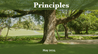 U.S. Government Issues Seven Principles for Building Voluntary Carbon Markets – the Principles Unpacked