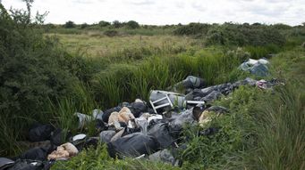 Environmental news round up - 25 August 2023