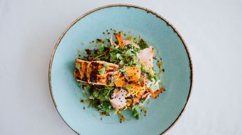 Food Venture Financing News – Weekly Issue No. 286