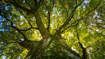 When systems fail children, we must change the system