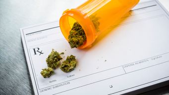 Medical Marijuana at Work: Mississippi Workers’ Comp Impact