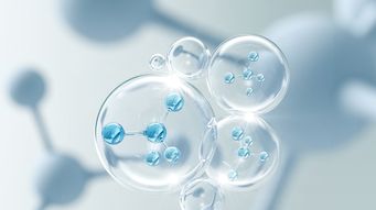 Promoting Medical Device Regulatory Harmonization: Key Takeaways from the 27th IMDRF Conference in Japan