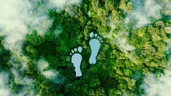 It’s time for companies to face up to their Scope 3 climate emissions