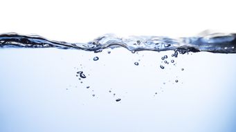 World Water Day: Water, Equality, and a Shared Responsibility