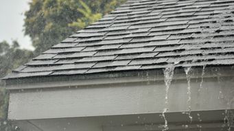 Reusing rainwater from rooftops