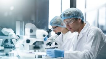 Turning Research into Reality: How IP Shapes Successful Spinouts