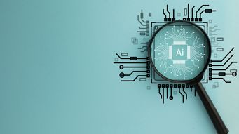 Understanding AI Provider terms before deployment