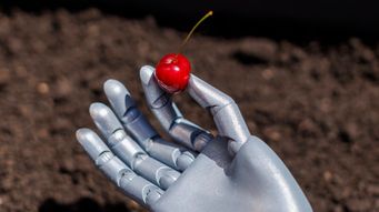 The rise of smart harvesting: Why Agritech innovation is taking root