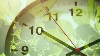 SCOTUS Grants Cert. in Climate Change Litigation