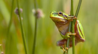 Claims firms unbowed despite FCA threat to consumers going to court