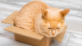 Palantir primed to access law firm AML data 2.