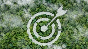 'Target, Subject, and Witness, Oh My!': How Status Affects Investigation Strategy