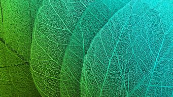 DOJ and CFTC Bring First-of-Its-Kind Prediction Market “Insider Trading” Case