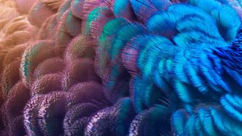 CMMI Launches Application Process for ACCESS Model: A New, Outcome-Focused Value-Based Payment Model - Dentons On Call