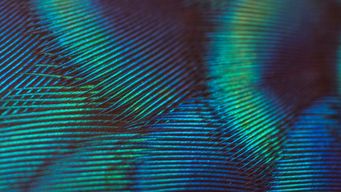 US EPA repeals its 2009 “endangerment finding” for greenhouse gas emissions