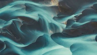 Long Term Care Insurance Litigation Survey