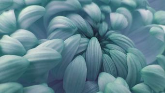 CFTC Issues Significant Staff Advisory on Prediction Markets