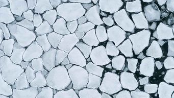 What You Need to Know: Fourth Quarter Legislative and Regulatory Updates for Government Contractors