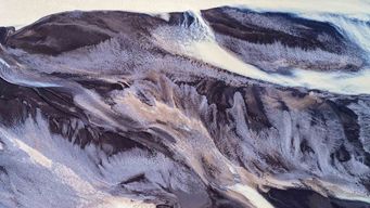 Dentons Capitol Insights: Georgia Edition – January 2026