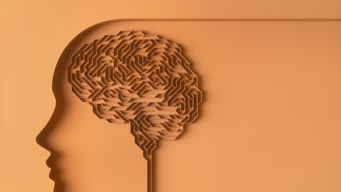 Reactions to the DOJ’s ECCP updates from a behavioral scientist