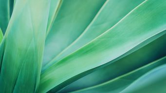 Private equity investment in education: strategic pathways and value creation