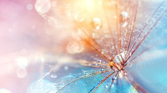 When will a judgment be set aside for fraud?