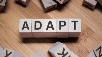 Six digital adaptivity principles that double transformation success rates