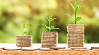 ESMA consults on securitisation repository data guidelines