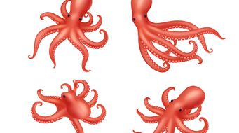 Post with long text and the link.