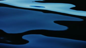 Capitalising on dislocation and complexity - Opportunistic credit in 2026