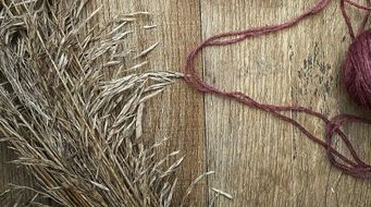 “Nature Socks” a sustainability claim?