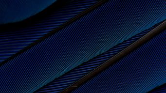 How private capital can thrive amidst tariff uncertainty