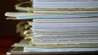 Legislation Day 2021: the key points for businesses