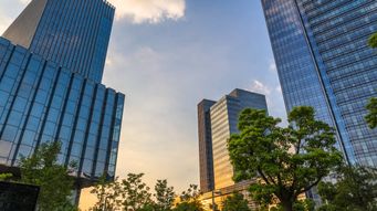 What does "Levelling Up" mean for decision-making on new development and infrastructure?