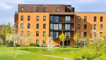 Retiring? You'll find me at the bar...