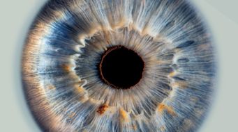 CooperVision: One in the Eye