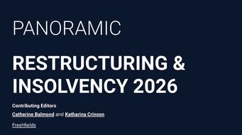 Panoramic: Restructuring & Insolvency – 2026 edition now out