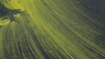 An opportunity to simplify UK withholding tax on interest