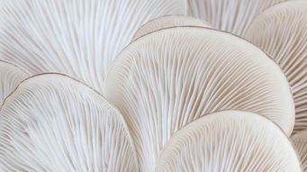 LME’s cancellation of nickel trades was not unlawful