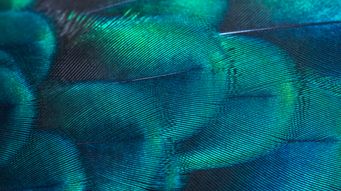 Mandatory transition planning – UK government progresses their manifesto commitment