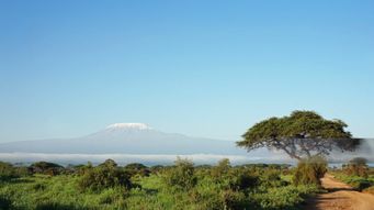 Compact with Africa 2.0 and EU Global Gateway: breathing new life into investments in African States