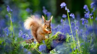 Spring Cleaning and Tune-up for Your Trade Secret Portfolio: Eight Steps