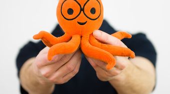 Why is the Passle logo an octopus?