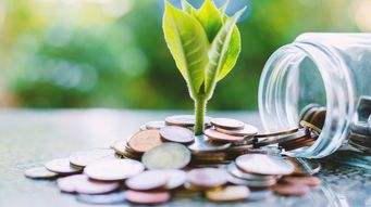 ESMA provides updated XML schema and reporting instructions for securitisation reporting