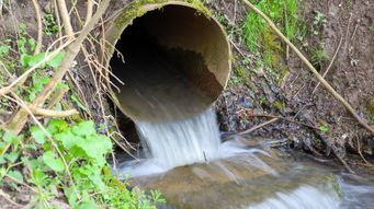 Strengthening Storm Overflow regulation: the OEP’s latest recommendations