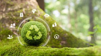 The Green Transition Directive: Financial Services Impact