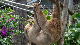 New Blog Sync test 1