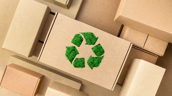 Packaging EPR Laws Clear Their First Constitutional Hurdle: Federal Court Upholds Oregon EPR Law