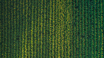 Russia-Ukraine conflict: Grocery retailers must act now as food costs soar